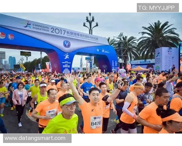 杭州极限运动队的马拉松大满贯之路与转型探索全景报道